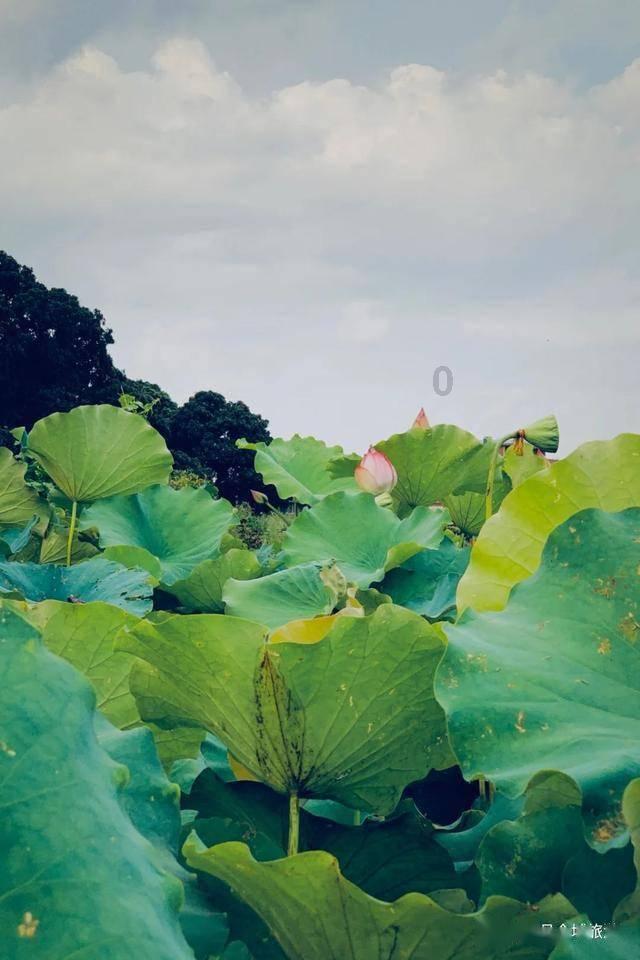 脱逃者