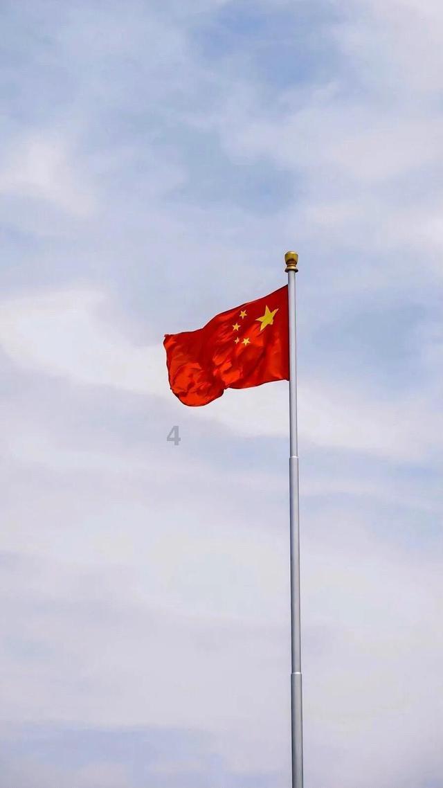 破碎的动物图形