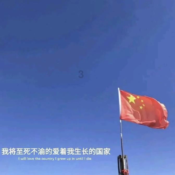 奥日与黑暗森林