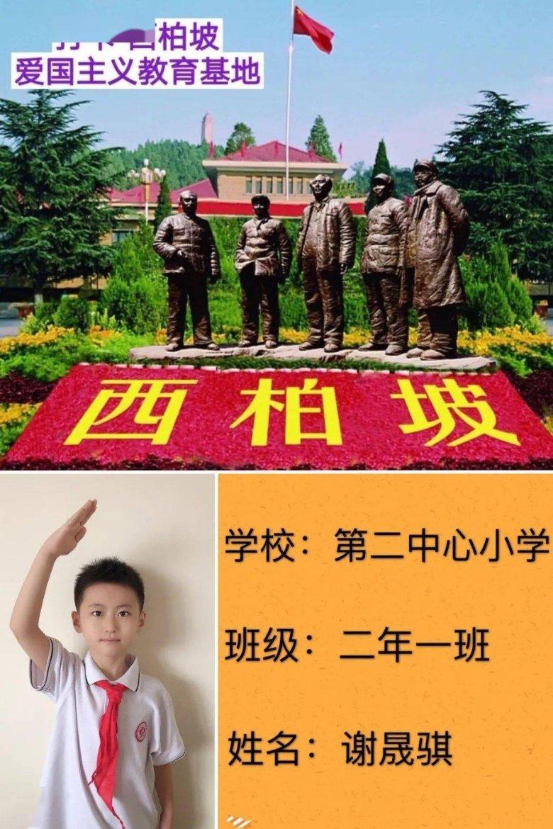 动物帮帮忙保卫家园